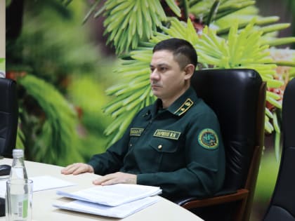 В Департаменте лесного хозяйства по ПФО обсудили итоги проведенных лесоустроительных работ на территории лесного фонда Арского и Камского лесничеств