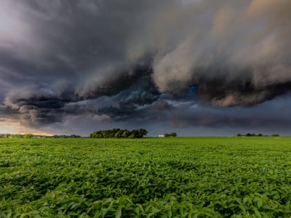 В Татарстане местами ожидаются грозы и кратковременный дождь 6 сентября