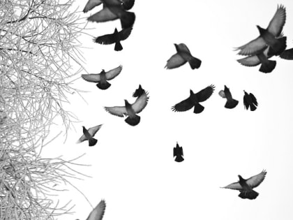 Вероятностный прогноз на отопительный период в Татарстане опубликовали синоптики