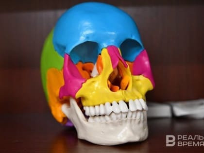 Врачам могут повысить выплаты за выявление онкозаболеваний