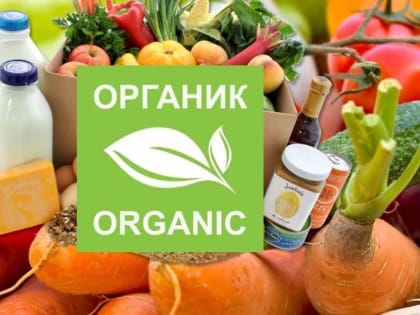 В России количество производителей органической продукции выросло на 46% за 2022 год