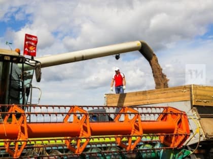 В Татарстане собрано более двух миллионов тонн зерна нового урожая