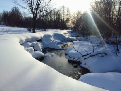 Советует специалист: Апрель — пора позаботиться о плодовых деревьях и посадочном материале