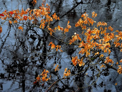 Дожди различной интенсивности будут сопровождать жителей Татарстана 8 сентября