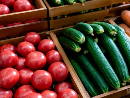 В Татарстане еще почти на 7% подешевели огурцы
