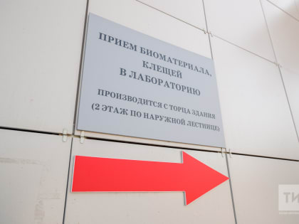 «Вылечил собаку за 30 тысяч и тут же сам подцепил клеща»: как уберечься от паразитов?