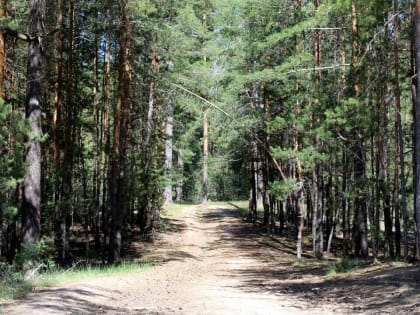 В Татарстане ожидается от -8 до +16 градусов