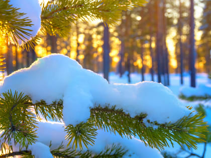 Ежедневный оперативный прогноз на 27 февраля