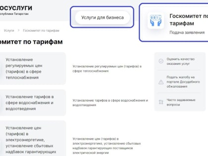 Госкомитет РТ по тарифам оказывает 13 госуслуг в сфере тарифного регулирования