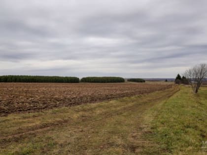 В хозяйствах Татарстана началась приемка протравочных машин