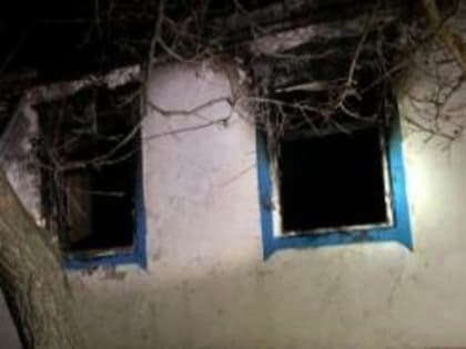 В Ростовской области, пока родителей не было дома, при пожаре погибли два малыша, еще троих спасли