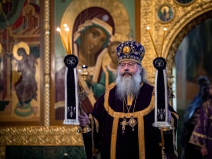 Анонс служения митрополита Кирилла с 11 по 19 марта