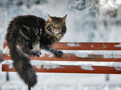 В конце выходных в Татарстане ожидаются метели и усиление ветра до 17 м/с