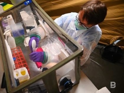 Российские ученые создали назальную вакцину от респираторно-синцитиального вируса