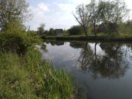 Резервный фонд правительства пополнится на ₽1,1 млрд