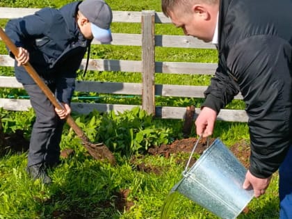 Мичанское сельское поселение приняло участие в акции “ Подари Земле сад