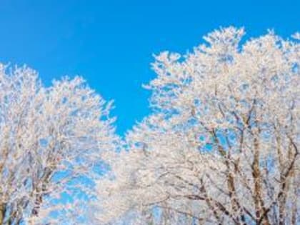 Гидрометцентр РТ: в Татарстане температура воздуха ниже нормы на 16 градусов