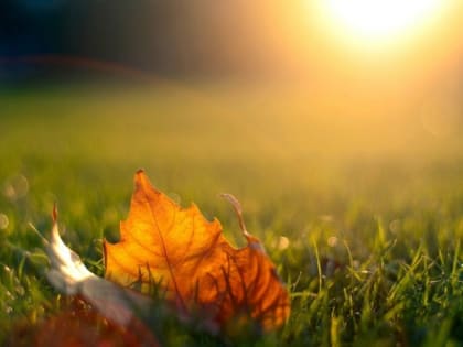 Рекордные +25 градусов ожидаются в Татарстане 21 сентября