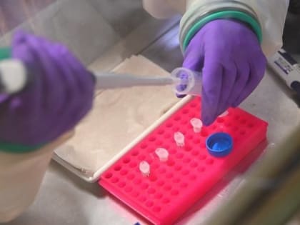 В Татарстане выявили три случая заражения клещевым энцефалитом