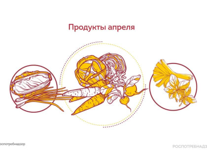 Лук, морковь, ревень, редис, свекла, цикорий, фенхель