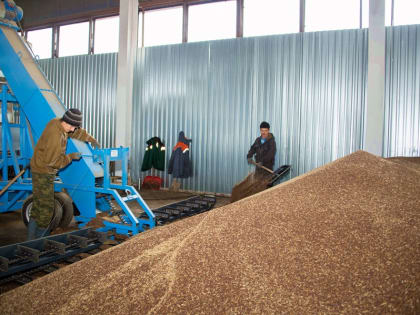 В Нижнекамском районе открылось производство рапсового масла