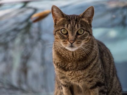 Понижение температуры воздуха до -7 градусов ожидается в Татарстане в ближайшие сутки
