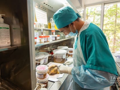 «Главное, не представлять, как человек рос, ходил в школу»: о работе патологоанатома РКБ