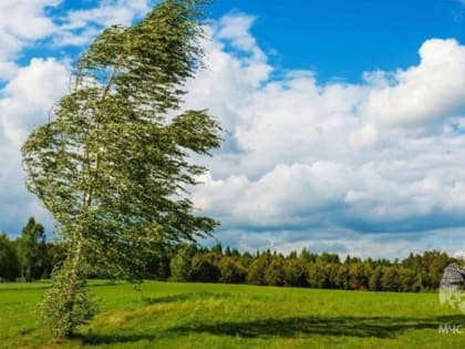 Консультация – предупреждение об интенсивности метеорологических явлений на территории Республики Татарстан