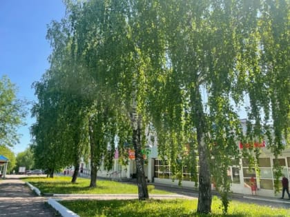 23 мая в Бугульме прогнозируется жаркая погода
