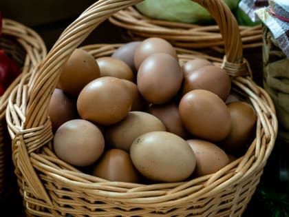 Рост цен на яйца в России замедлился до 4% в неделю