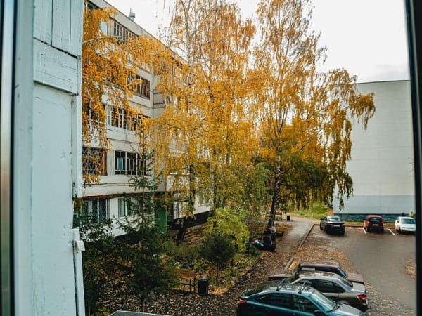 Специалисты из Санкт-Петербурга обследуют все деревья в парках и дворах Челнов