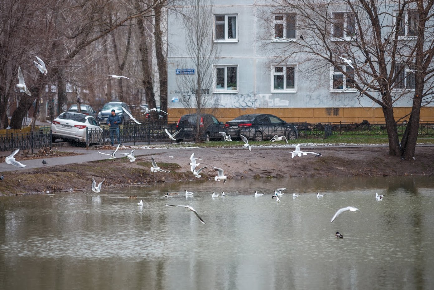 Заморозки в татарстане сегодня. В Татарстане похолодает.