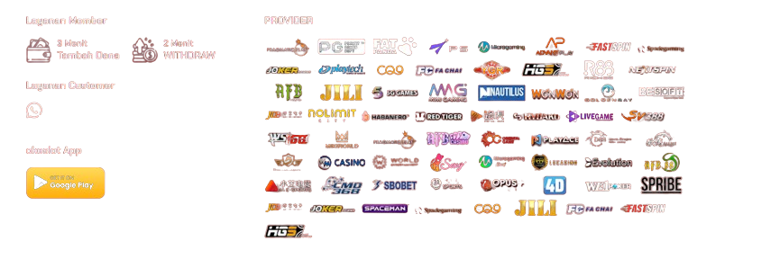 Provider OKESLOT