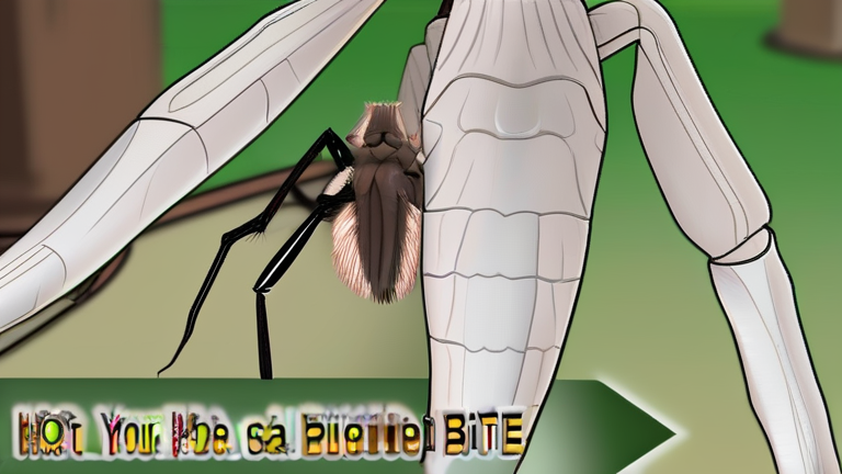 How to get rid of a wolf spider bite