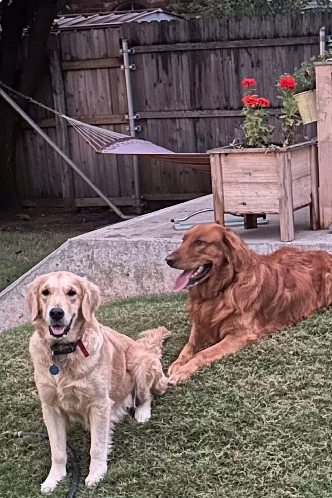Clifford and Bella