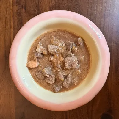 Cat Soup