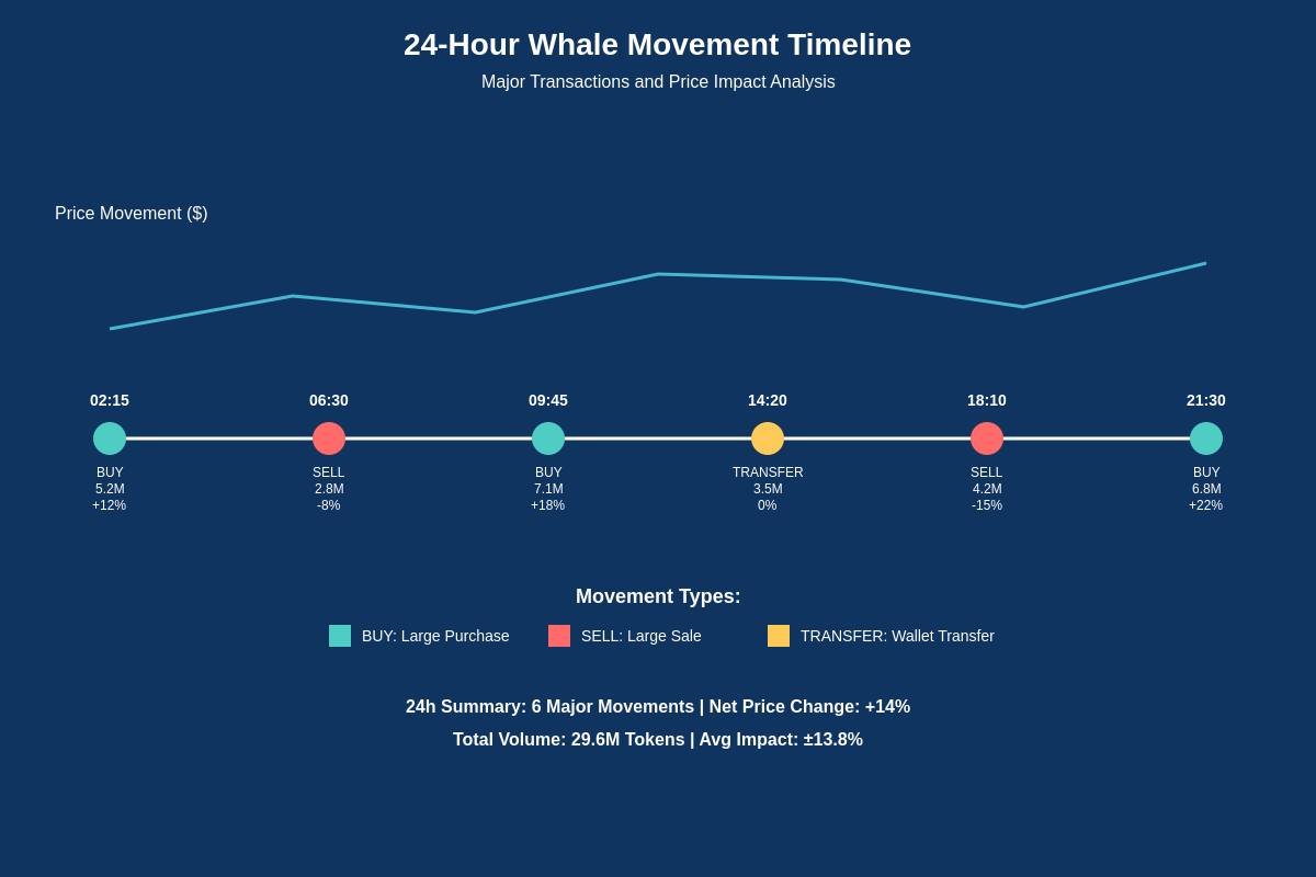 24-Hour Whale Movement Timeline