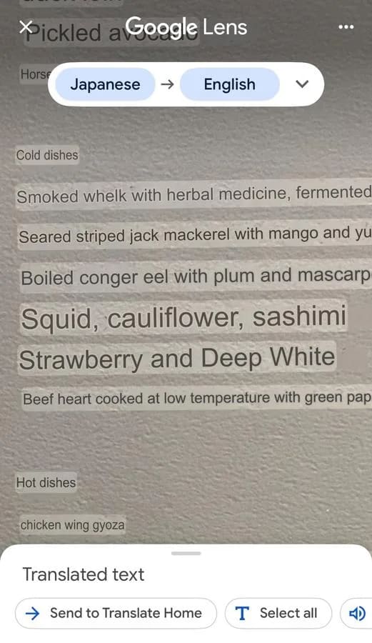 Screenshot of Google Lens translating a Japanese menu at Arbre (Sumi Ika)