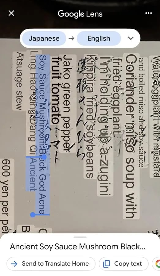 Screenshot of Google Lens translating a Japanese menu at Bunon