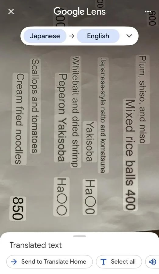 Screenshot of Google Lens translating a handwritten Japanese menu item (shirasu)