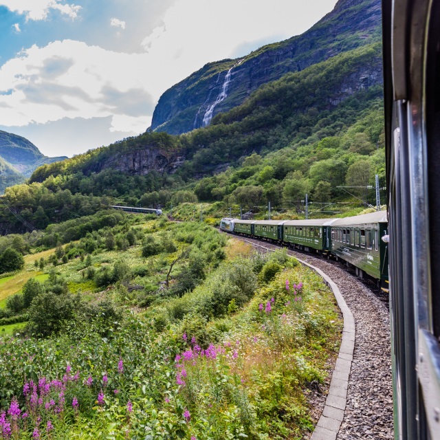 Tren de Fläm