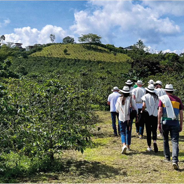 Visita finca cafetera