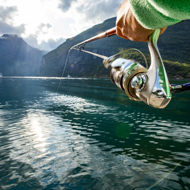 Pesca en el fiordo (opcional)
