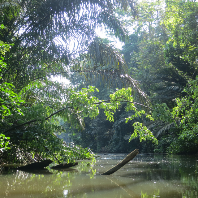 Parque Nacional de Tortuguero