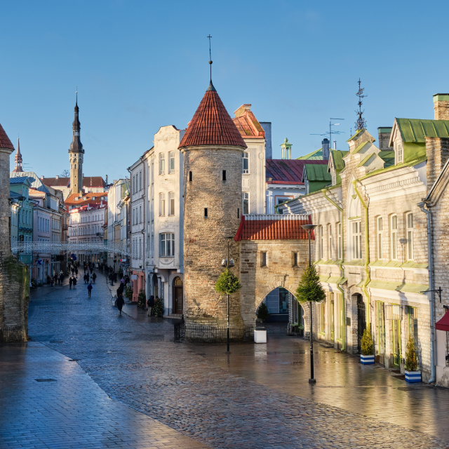 Tallin