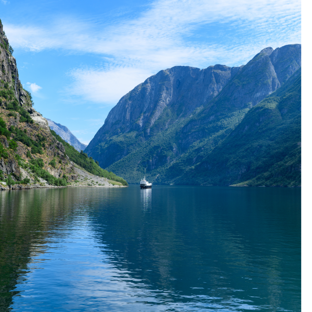 Crucero por el fiordo de Nærøyfjord