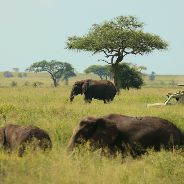 Parque Nacional de Tarangire