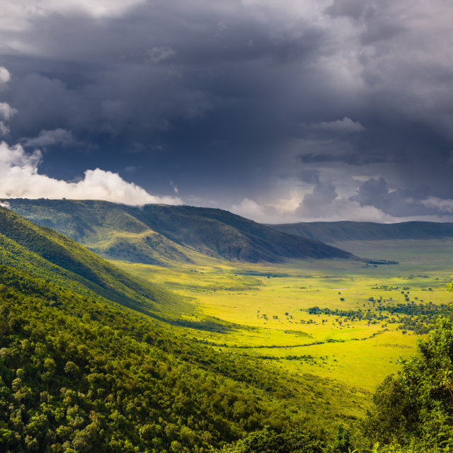 Cráter del Ngorongoro