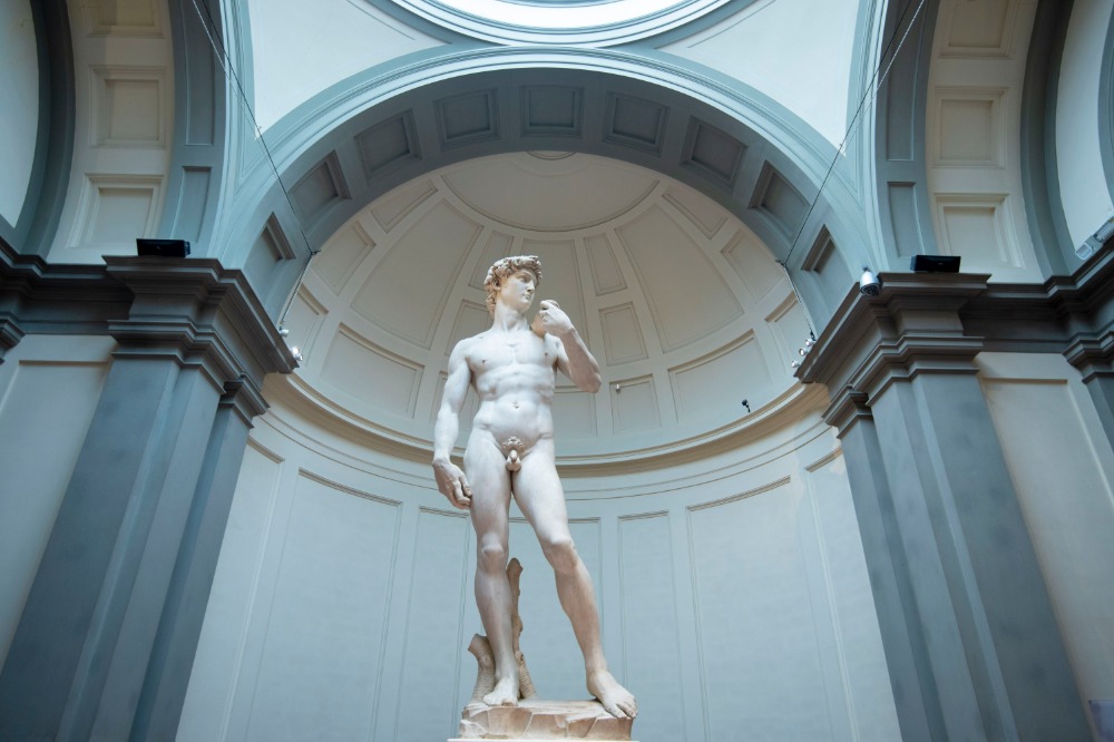 Opcional visita a la Galeria de la Academia