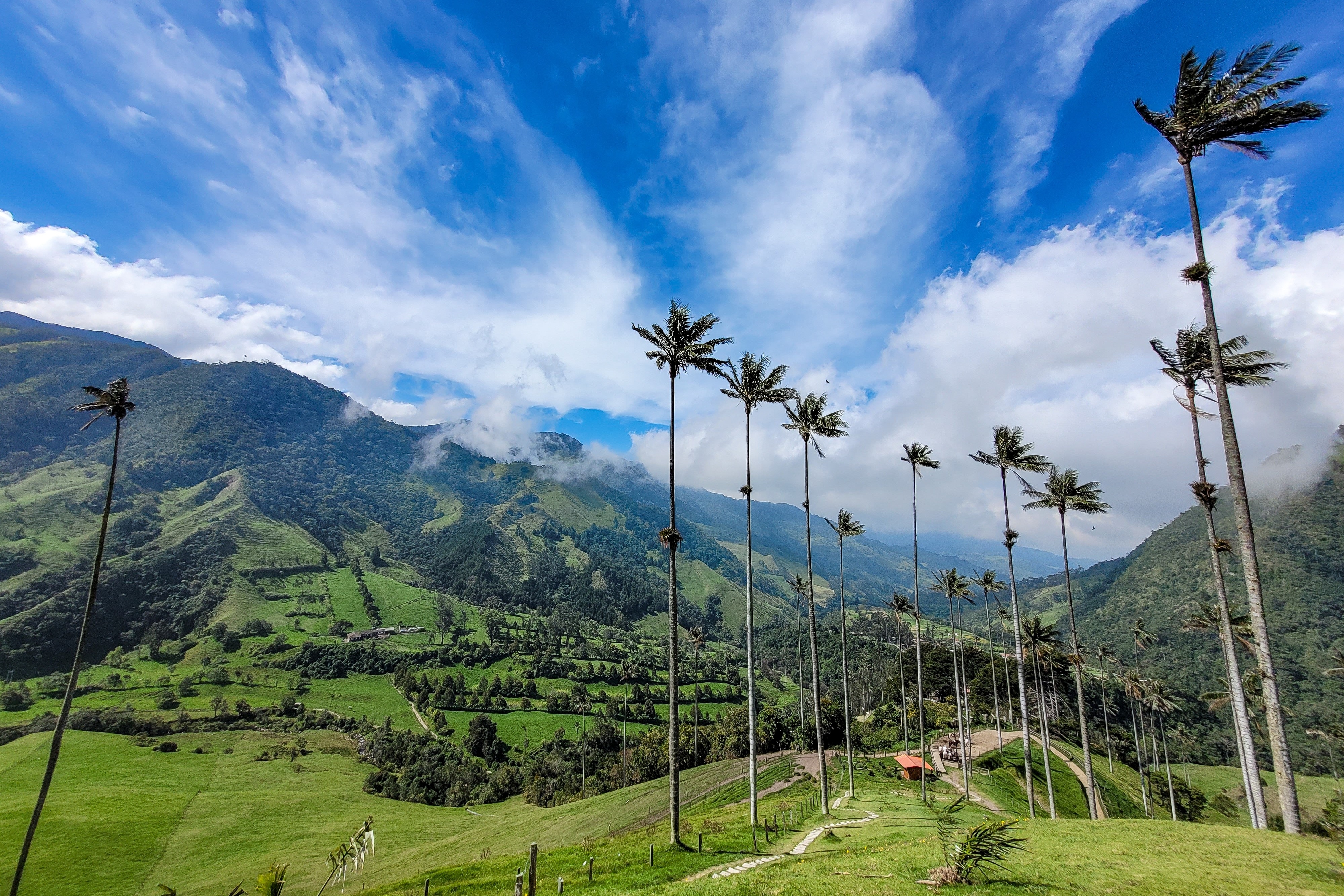 Valle del Cocora